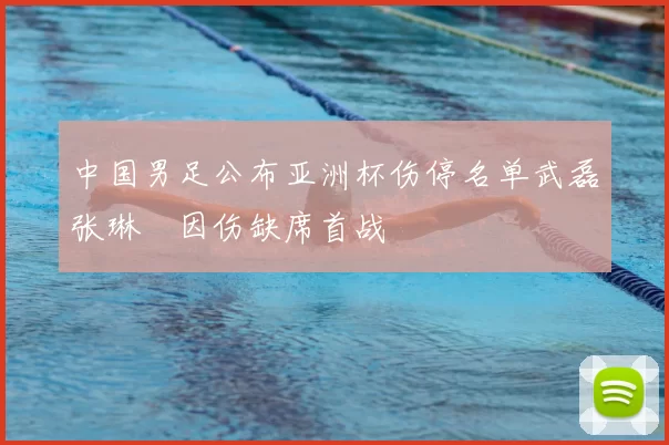 中国男足公布亚洲杯伤停名单武磊张琳芃因伤缺席首战