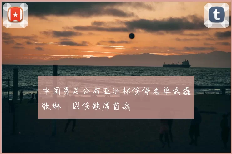 中国男足公布亚洲杯伤停名单武磊张琳芃因伤缺席首战