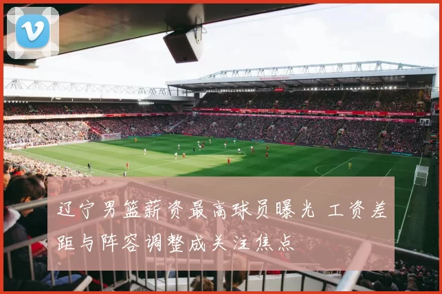 辽宁男篮薪资最高球员曝光 工资差距与阵容调整成关注焦点