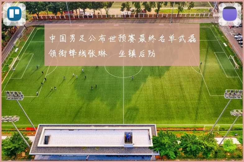 中国男足公布世预赛最终名单武磊领衔锋线张琳芃坐镇后防