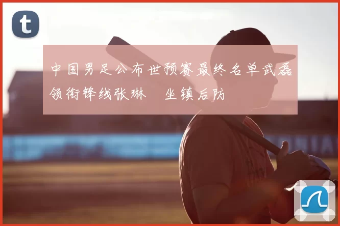 中国男足公布世预赛最终名单武磊领衔锋线张琳芃坐镇后防
