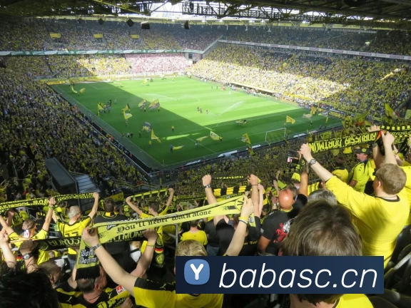 九游会·AG·「中国」官方网站服务体系